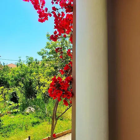Green Studio Nydri (Lefkada)