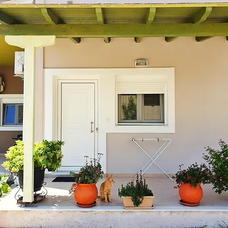 Green Studio Apartment